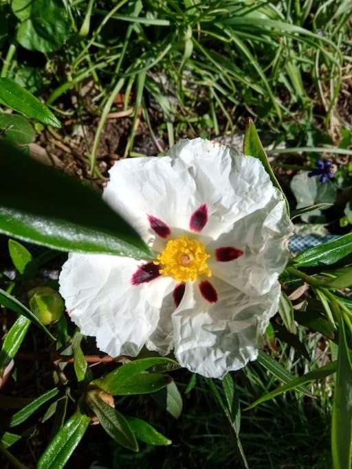 Photo of Outdoor in Saulgond