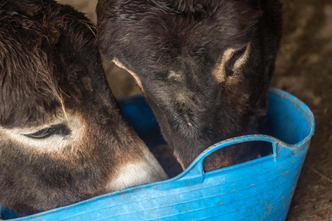 Photo of Others in Llangeler