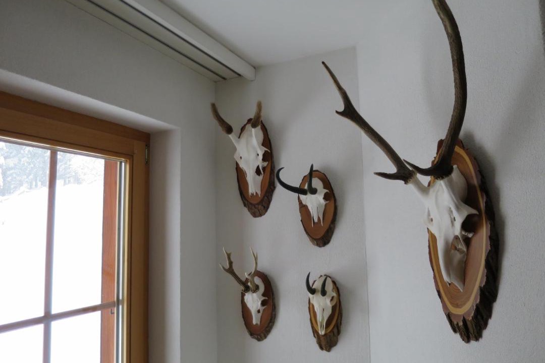 Photo of Others in Arosa
