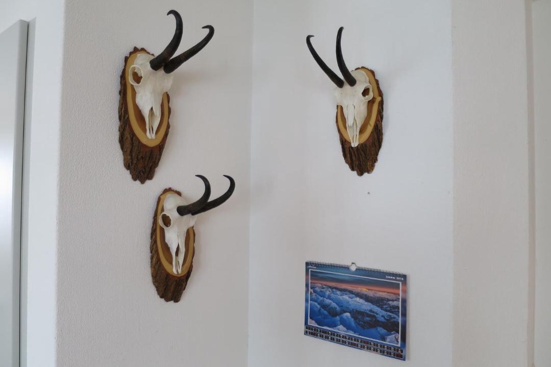 Photo of Others in Arosa