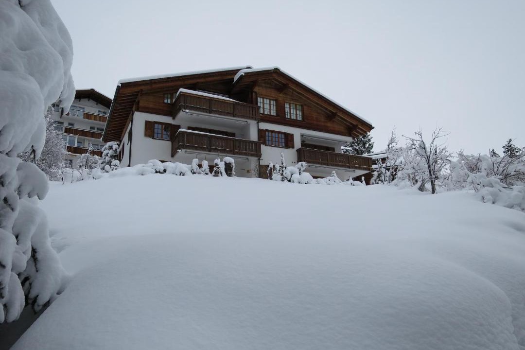 Photo of Others in Arosa