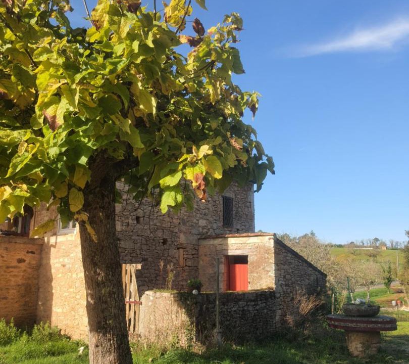 Photo of Others in Frayssinet-le-Gelat