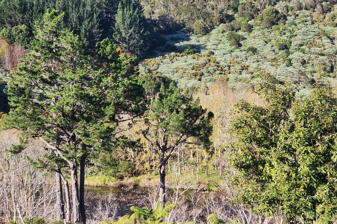 Photo of Others in Thames