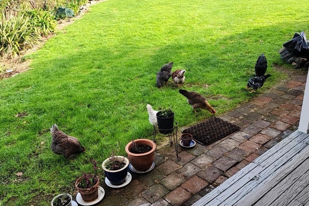 Photo of Others in Thames