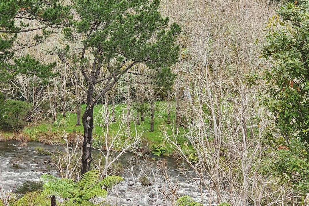 Photo of Others in Thames