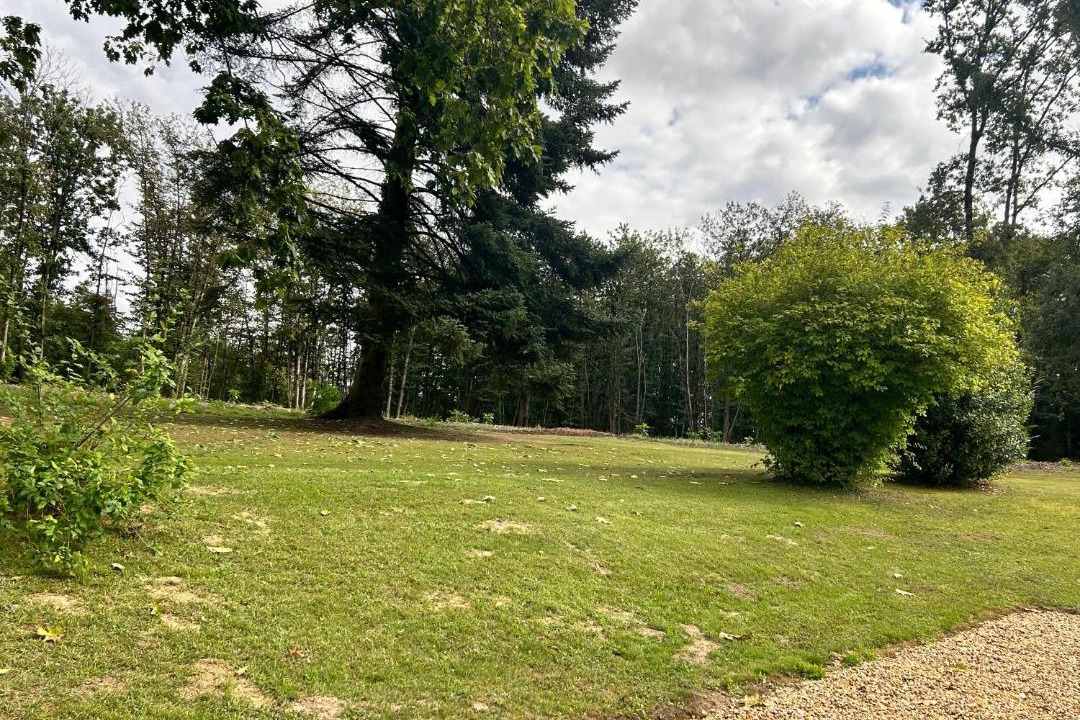 Photo of Others in Courcelles-la-Foret