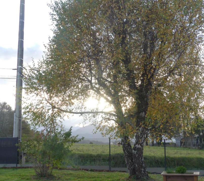 Photo of Outdoor in Loucrup