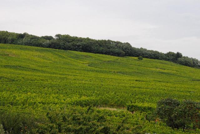 Photo of Others in Nothalten