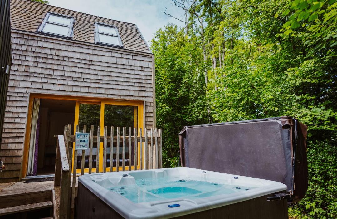 Photo of Others in Corfe Castle