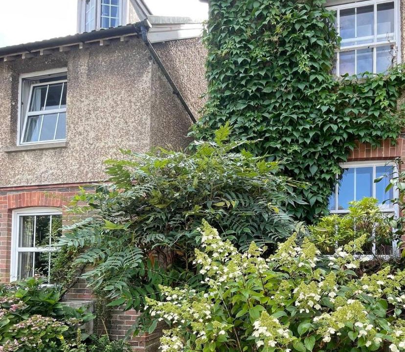 Photo of Others in Forest Row