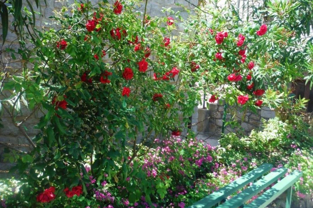 Photo of Others in Prvic Luka