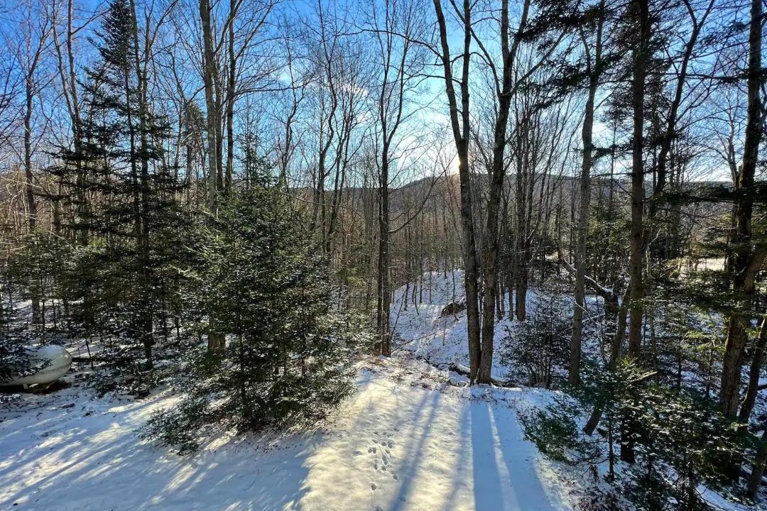 Photo of Others in Montgomery Center