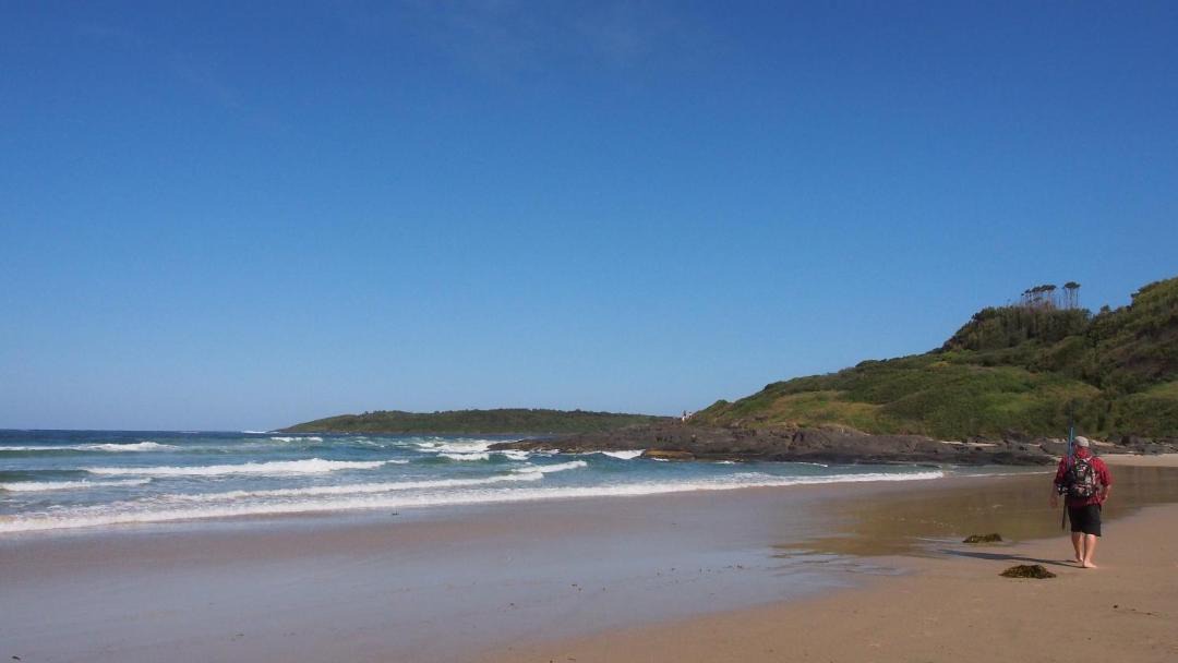 Photo of Others in Bawley Point