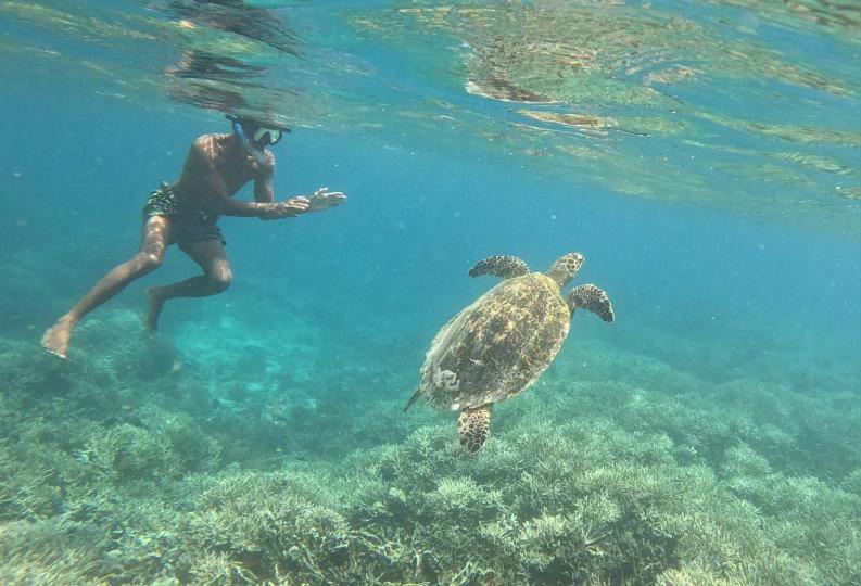 Photo of Others in Gili Gede