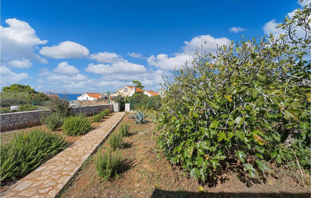 Photo of Others in Kornati