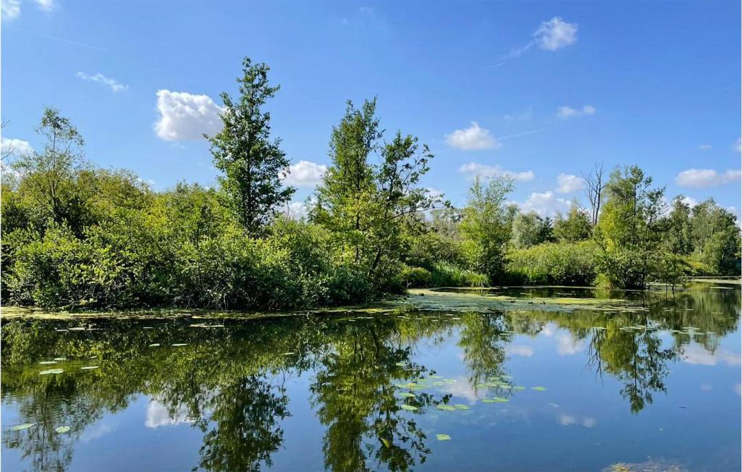 Photo of Others in Hem-Monacu