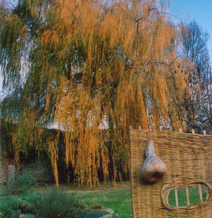 Photo of Others in Saint-Martin-le-Vieil