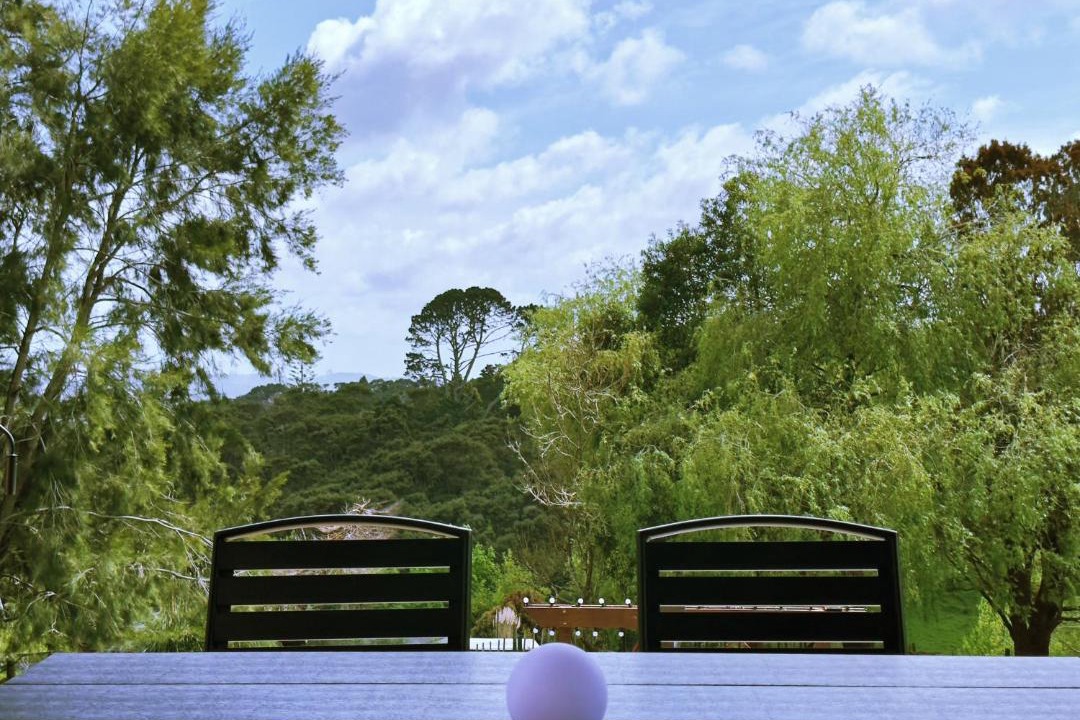 Photo of Others in Papakura