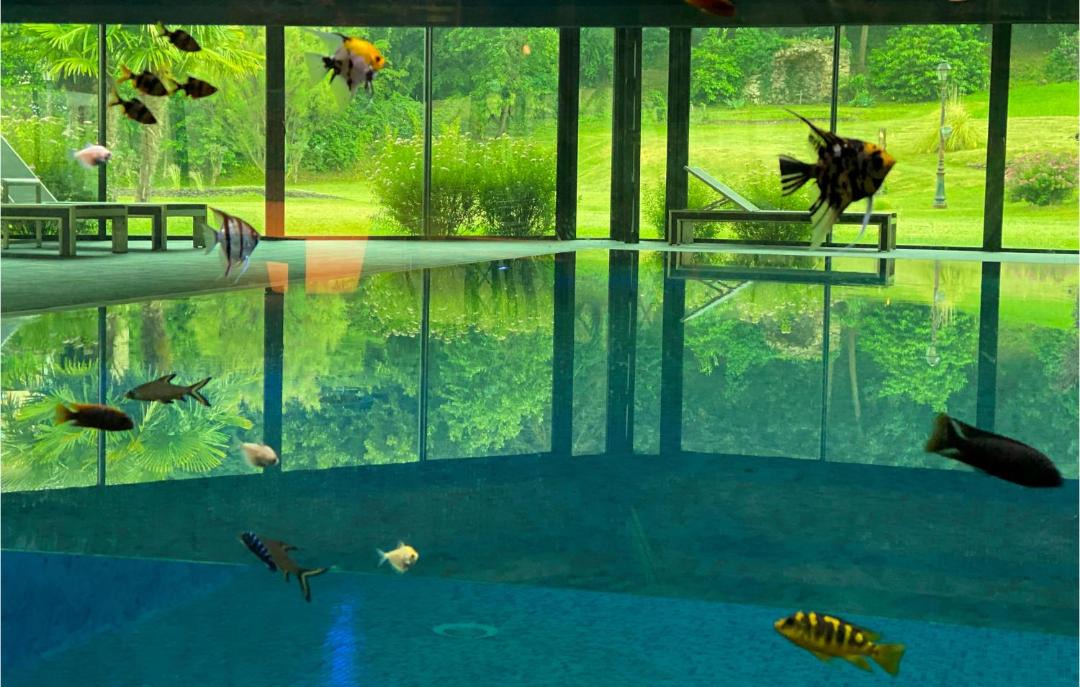 Photo of Others in Saint-Affrique