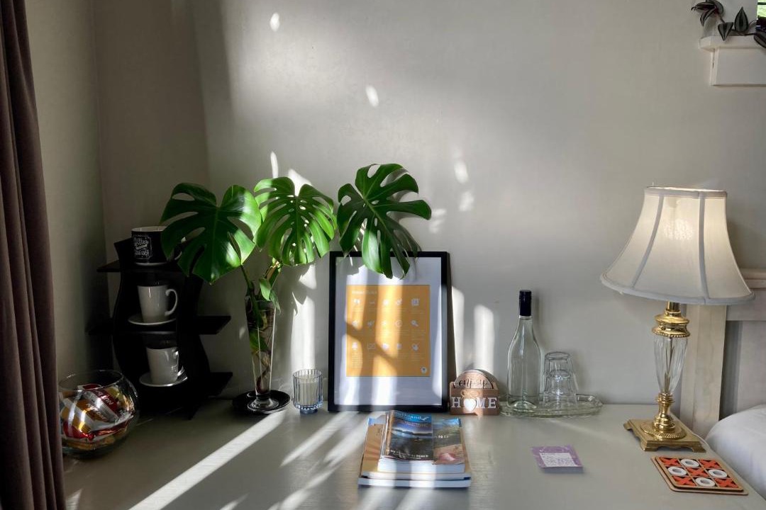 Photo of Others in Mount Albert