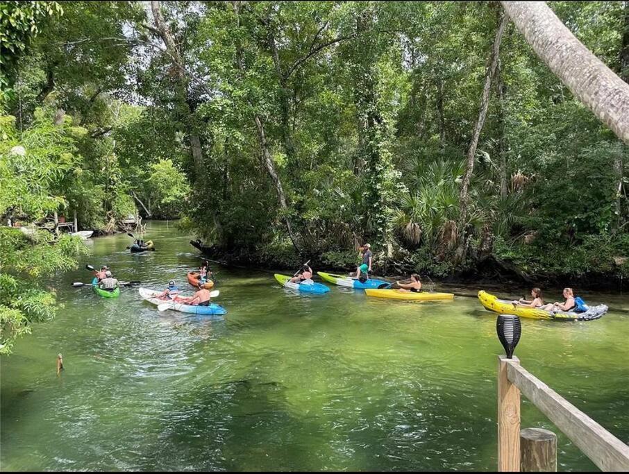 Photo of Others in Weeki Wachee Gardens