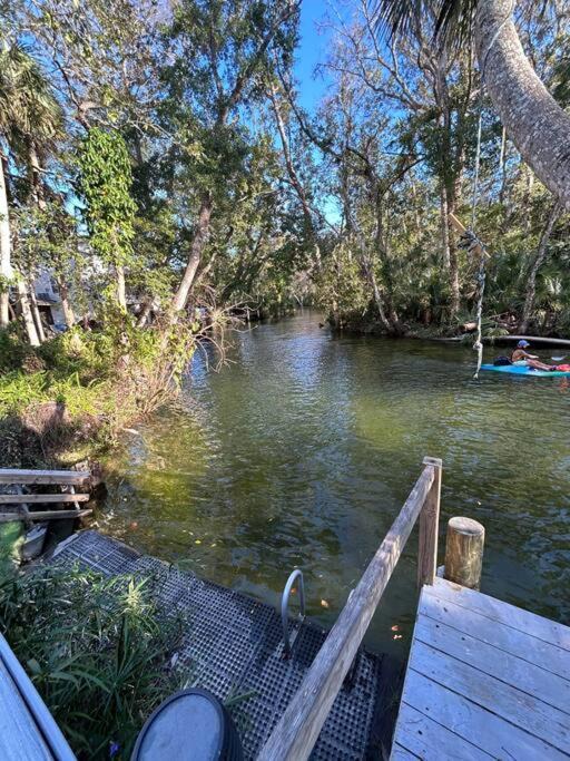 Photo of Others in Weeki Wachee Gardens