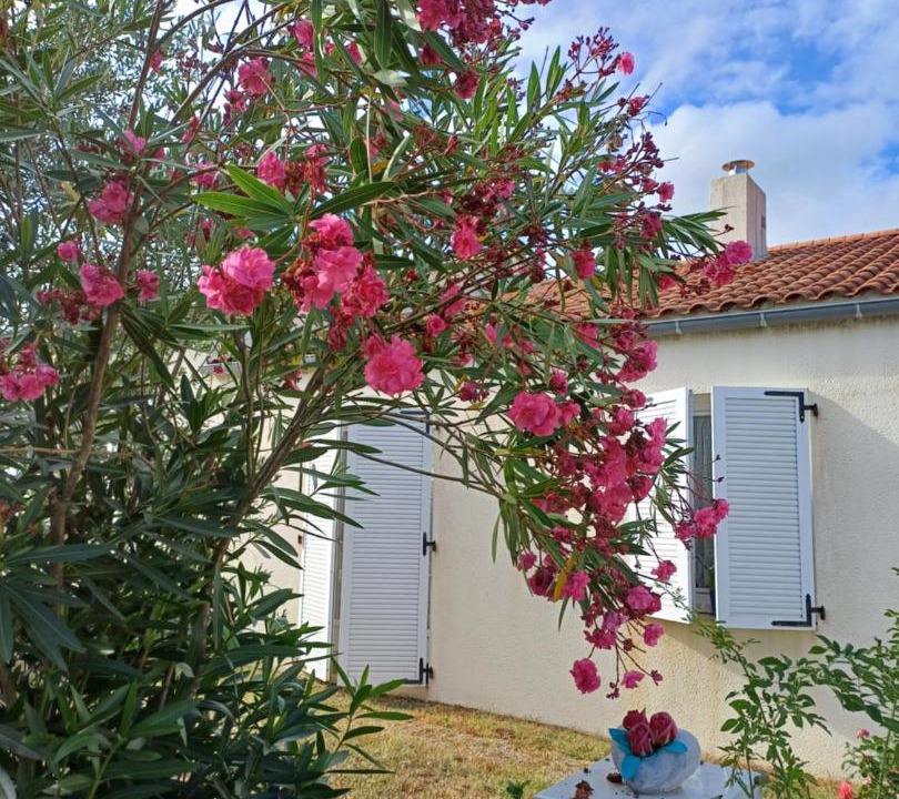 Photo of Others in Vouvant