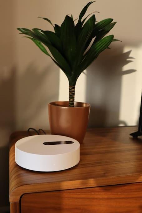 Photo of Others in Arras