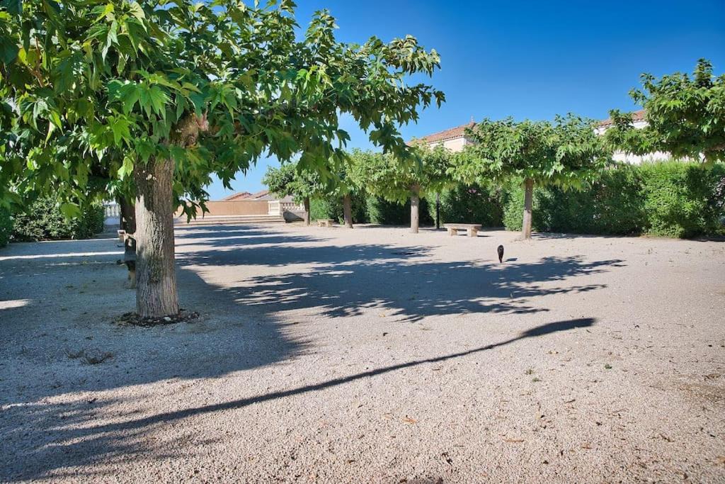 Photo of Others in Uzes