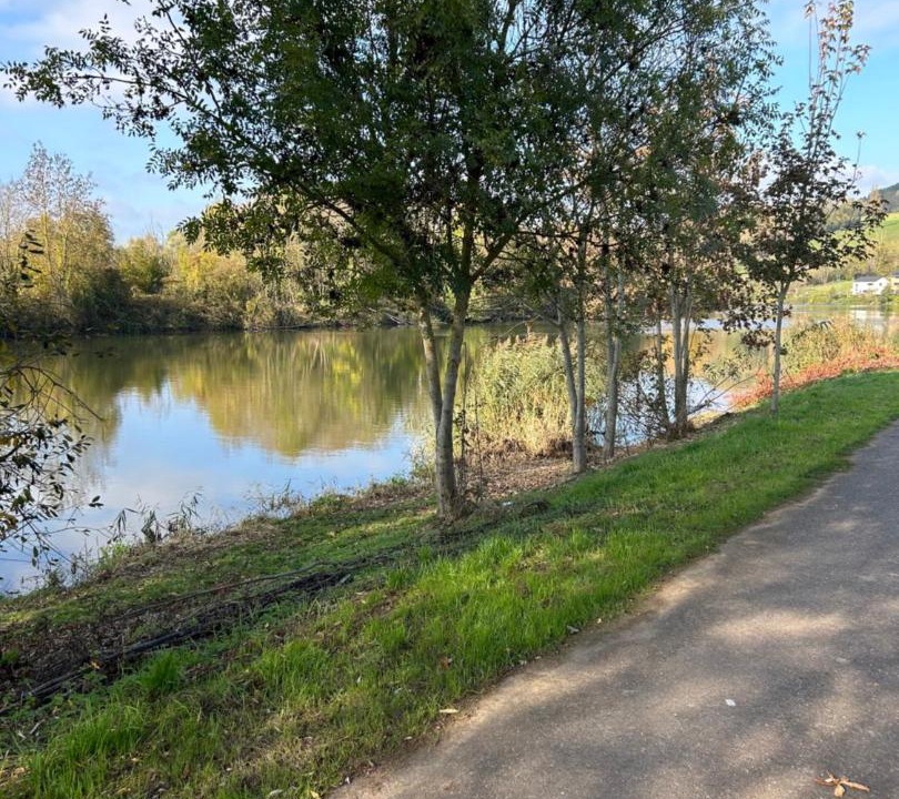 Photo of Others in Millery