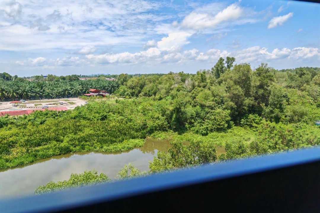 Photo of Others in Bota