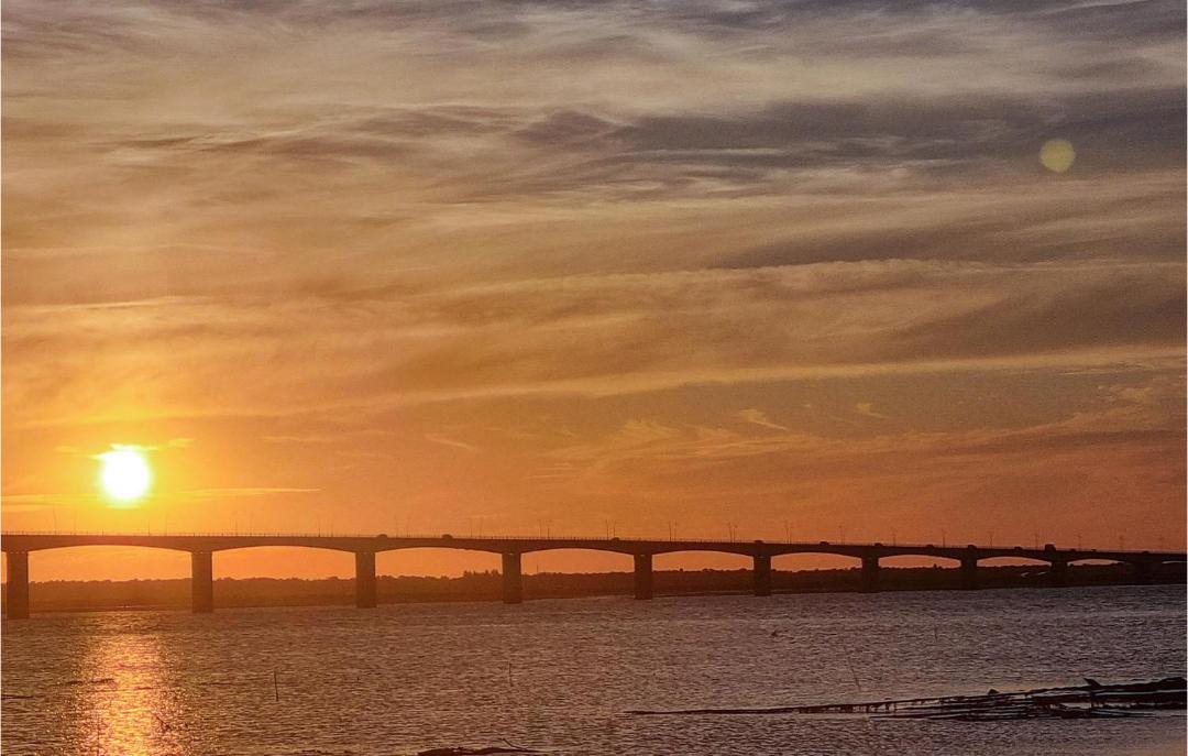 Photo of Others in Medis