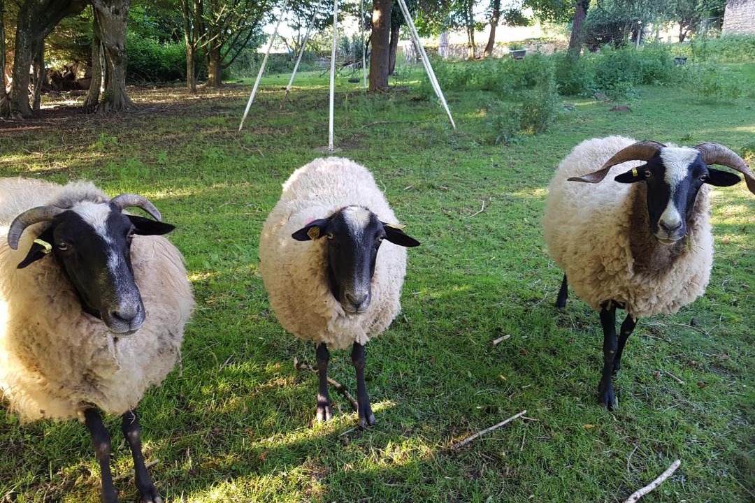 Photo of Others in Sainte-Agnes