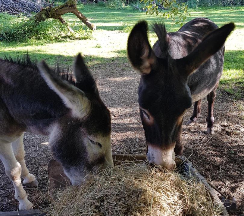 Photo of Others in Sainte-Agnes