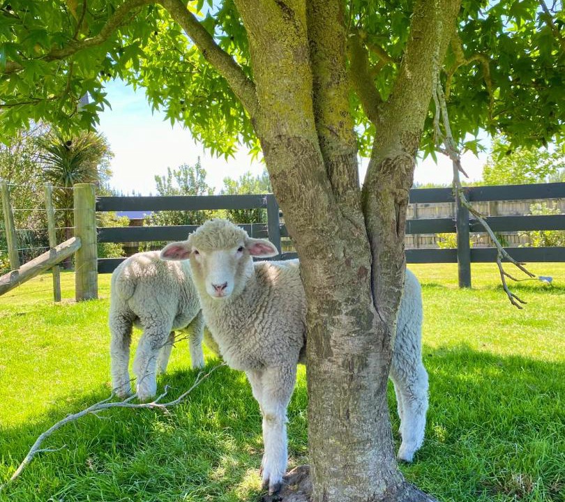Photo of Outdoor in Halcombe