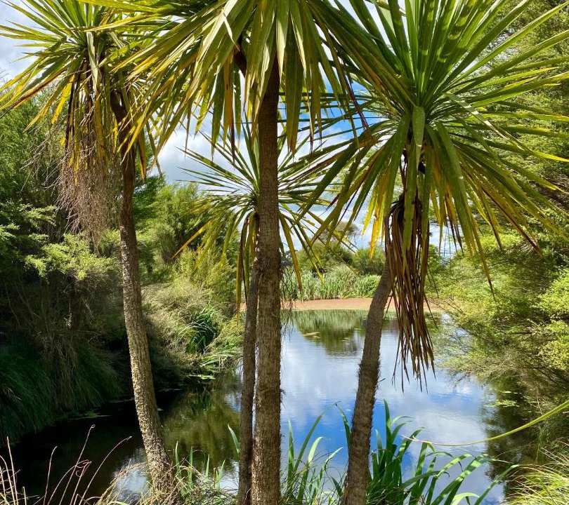 Photo of Others in Halcombe