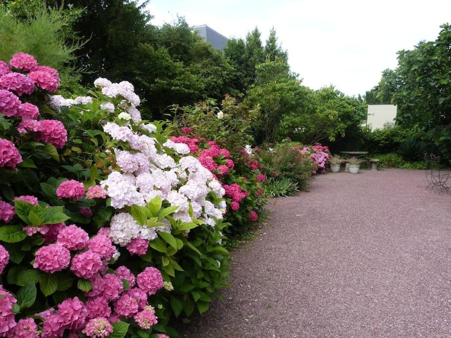 Photo of Outdoor in Brehal