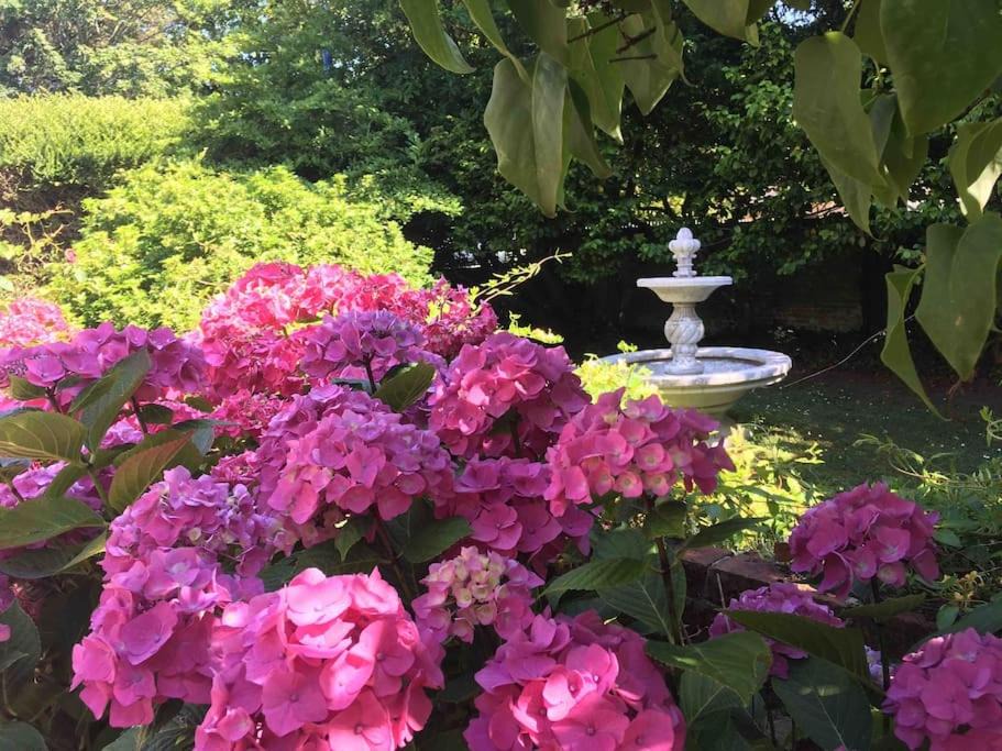 Photo of Others in Brehal