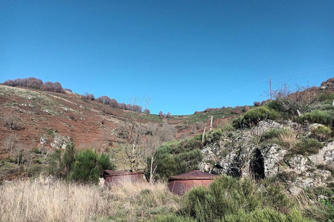 Photo of Others in Dourbies