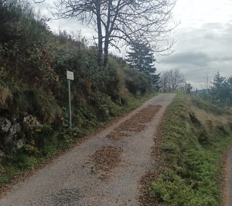 Photo of Others in Dourbies