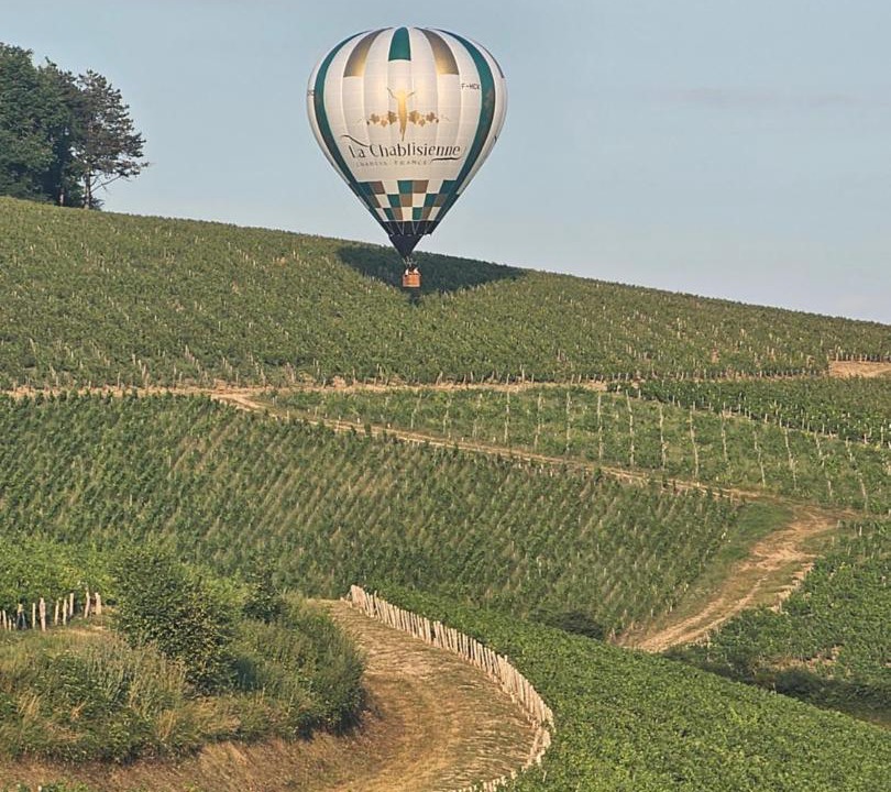 Photo of Others in Chablis