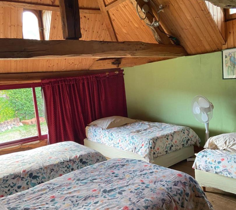 Photo of Others in Gans