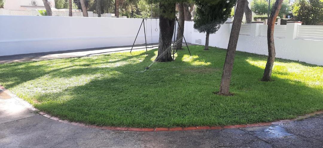 Photo of Others in Benicassim