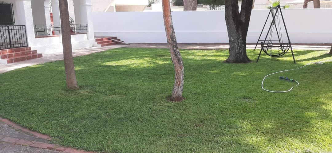 Photo of Outdoor in Benicassim