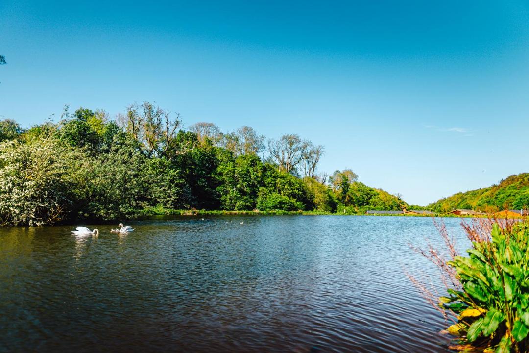 Photo of Others in Dunbar