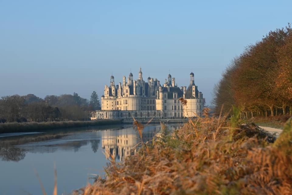 Photo of Others in Saint-Laurent-Nouan