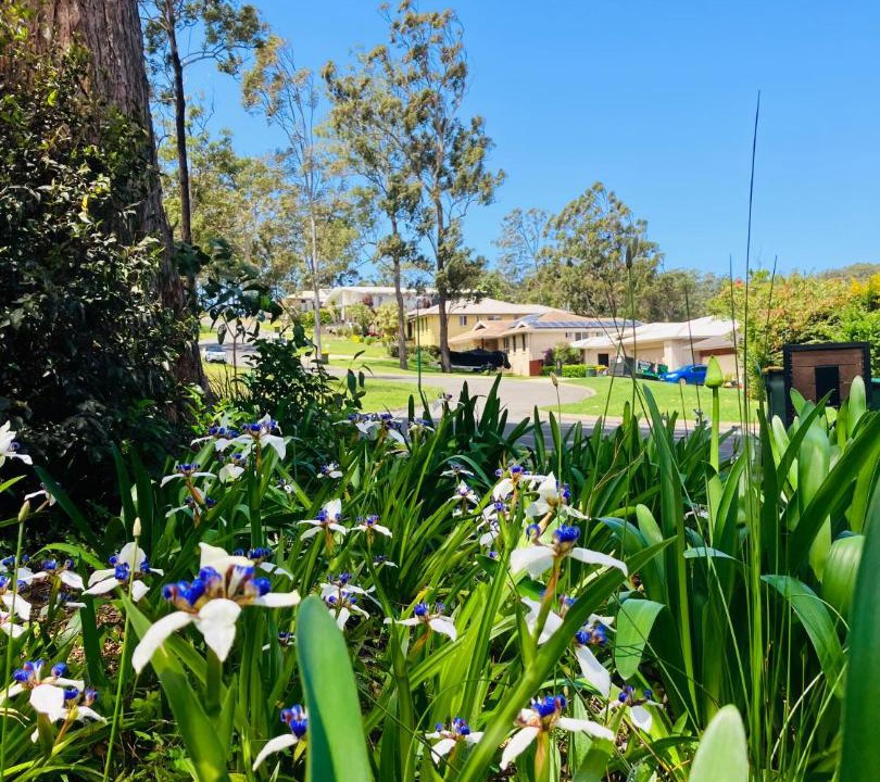 Photo of Outdoor in Port Macquarie