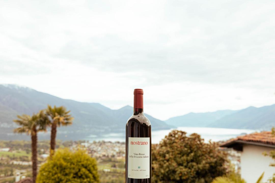 Photo of Others in Locarno