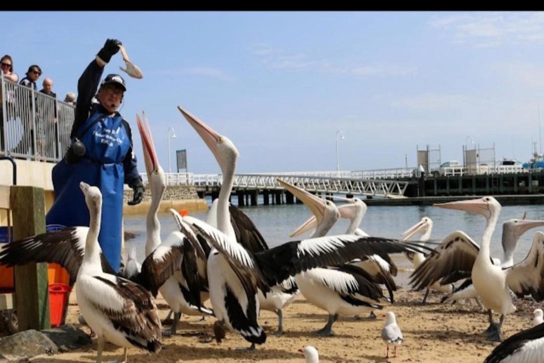 Photo of Human In Picture in San Remo