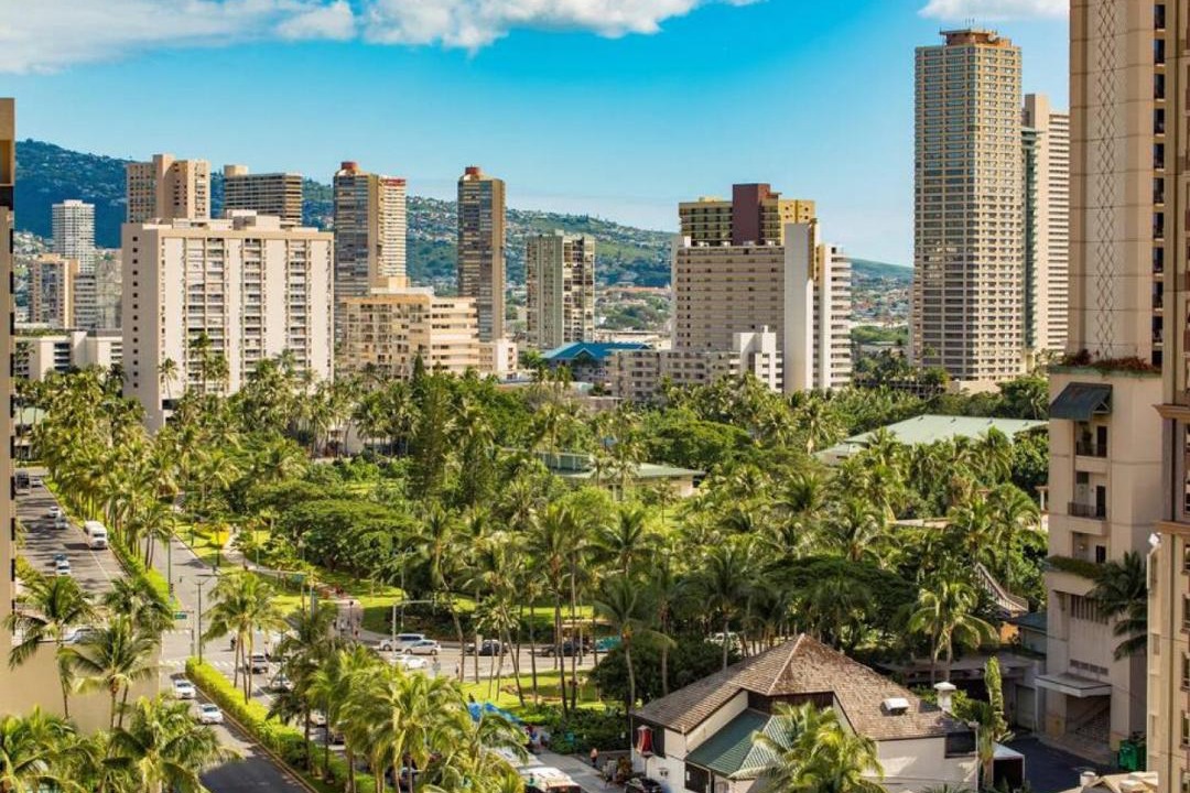 Photo of Others in Waikiki